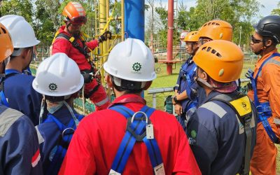 WhatsApp Image 2024-10-30 at 16.26.53 (1)