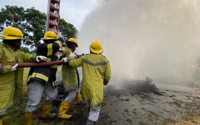 WhatsApp Image 2025-09-11 at 10.11.45_8ec11095